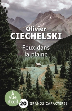 Bertrand.pt - Feux Dans La Plaine