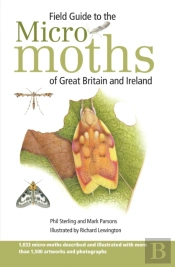 Fg Field Guide To The Micro Moths O