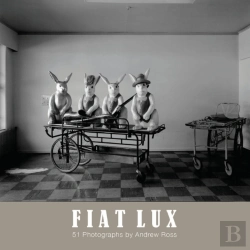 Bertrand.pt - Fiat Lux