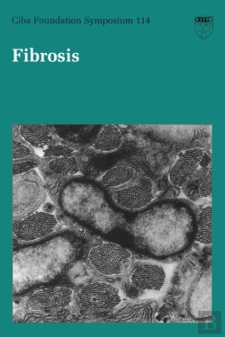 Bertrand.pt - Fibrosis