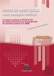 Fiches De  Droit Social Avec Exemples Chiffres - Processus 4 Du Bts Cg