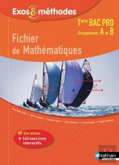 Fichier De Mathematiques Term Bac Pro (Exos & Methodes) Groupements A Et B 2017 - Eleve