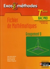 Fichier De Mathematiques Terminale Bac Pro - Groupement B -Exos & Methodes- Livre De L'Eleve 2011