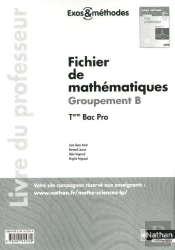 Fichier De Mathematiques Terminale Bac Pro - Groupementnt B (Exos Et Methodes) Professeur 2011