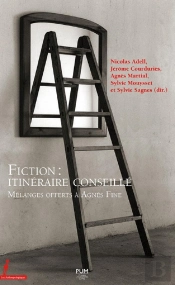 Fiction : Itinéraire Conseillé ; Mélanges Offerts À Agnès Fine