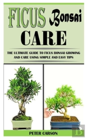 Ficus Bonsai Care