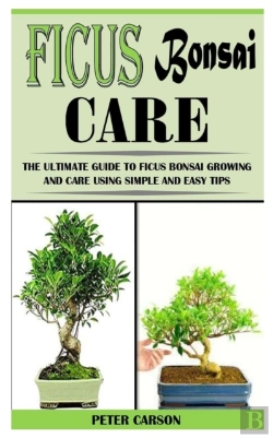 Bertrand.pt - Ficus Bonsai Care
