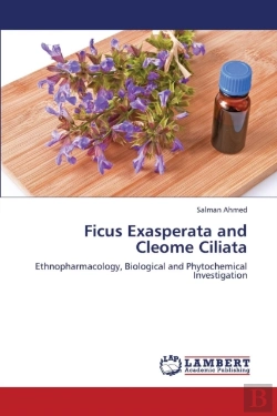Bertrand.pt - Ficus Exasperata And Cleome Ciliata
