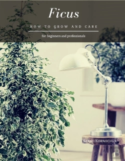 Bertrand.pt - Ficus