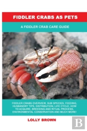 Fiddler Crabs As Pets