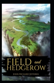 Field And Hedgerow Annotated