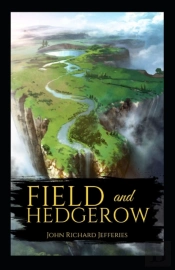 Field And Hedgerow Annotated