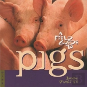 Field Gt Pigs