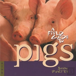 Bertrand.pt - Field Gt Pigs