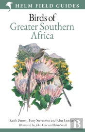 Field Guide To Birds Of Greater Southern Africa