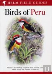 Field Guide To Birds Of Peru