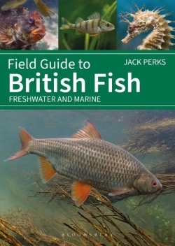 Bertrand.pt - Field Guide To British Fish