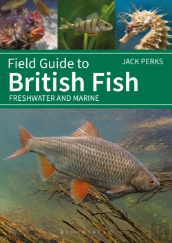 Bertrand.pt - Field Guide To British Fish