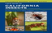Field Guide To California Insects