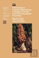 Field Guide To Common Macrofungi In Eastern Forests And Their Ecosystem Function
