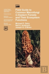 Field Guide To Common Macrofungi In Eastern Forests And Their Ecosystem Function