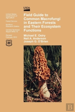 Bertrand.pt - Field Guide To Common Macrofungi In Eastern Forests And Their Ecosystem Function