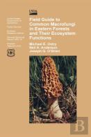 Field Guide To Common Macrofungi In Eastern Forests And Their Ecosystem Function