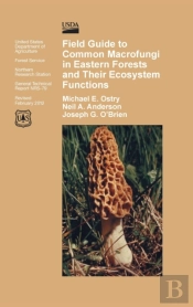 Field Guide To Common Macrofungi In Eastern Forests And Their Ecosystem Function