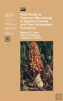Bertrand.pt - Field Guide To Common Macrofungi In Eastern Forests And Their Ecosystem Function
