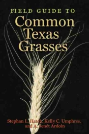 Field Guide To Common Texas Grasses