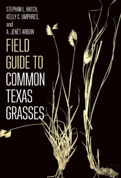 Bertrand.pt - Field Guide To Common Texas Grasses