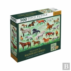 Bertrand.pt - Field Guide To Magnificent Horses