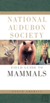 Field Guide To North American Mammals
