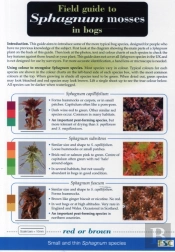 Field Guide To Sphagnum Mosses In Bogs