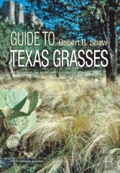 Field Guide To Texas Grasses