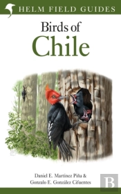 Field Guide To The Birds Of Chile
