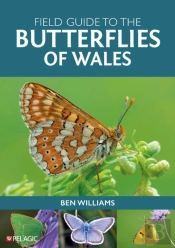 Field Guide To The Butterflies Of Wales