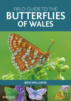 Bertrand.pt - Field Guide To The Butterflies Of Wales