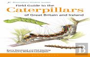 Field Guide To The Caterpillars Of Great Britain And Ireland