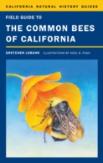 Field Guide To The Common Bees Of California