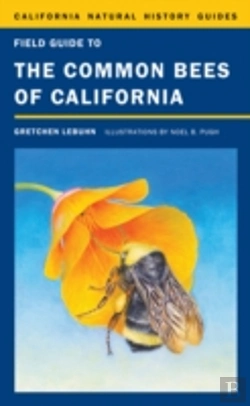 Bertrand.pt - Field Guide To The Common Bees Of California