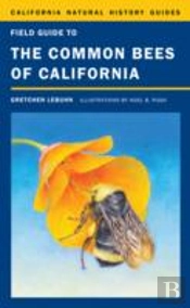 Field Guide To The Common Bees Of California
