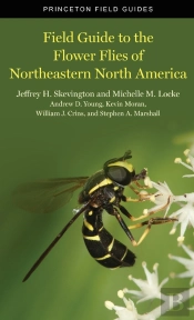 Field Guide To The Flower Flies Of Northeastern North America
