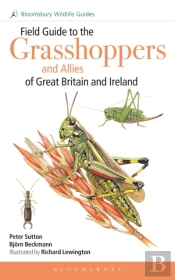 Field Guide To The Grasshoppers And Allies Of Great Britain And Ireland