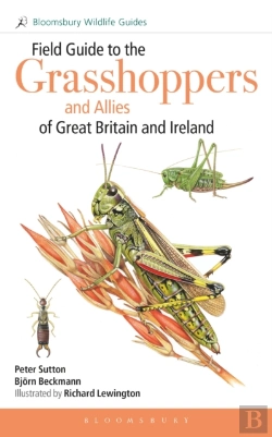 Bertrand.pt - Field Guide To The Grasshoppers And Allies Of Great Britain And Ireland