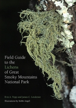 Bertrand.pt - Field Guide To The Lichens Of Great Smoky Mountains National Park