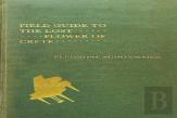 Field Guide To The Lost Flower Of Crete