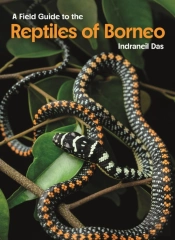 Field Guide To The Reptiles Of Borneo