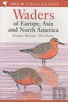 Field Guide To Waders Of Europe, Asia And North America