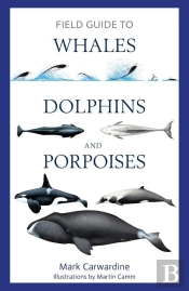 Field Guide To Whales, Dolphins And Porpoises